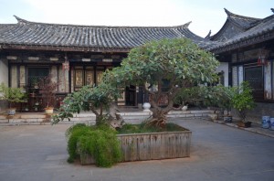 DSC_0063 (2) (1280x848)