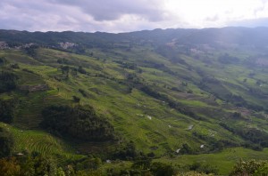 DSC_0113 (2) (1280x848)