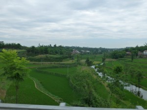 P1030985 (1280x960) (1280x960)