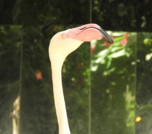 DSCN4998 (1280x1133)