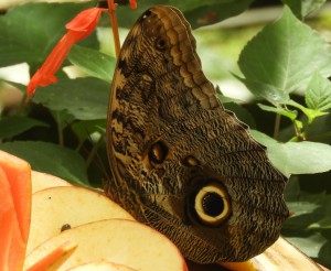 DSCN5272 (1280x1050)